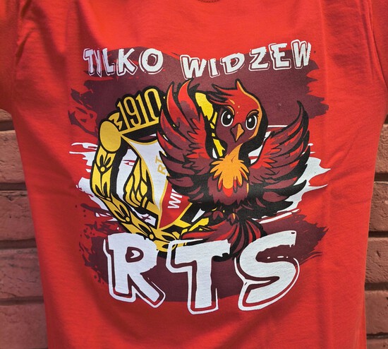 Koszulka dziecięca SFINKS - obrazek 2